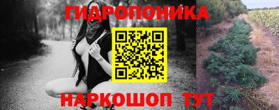 спайс Славгород