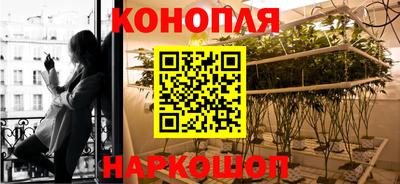 спайс Славгород