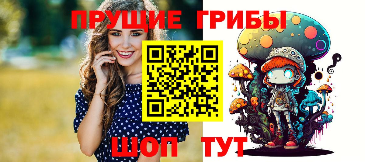 Баксан  Галлюциногенные грибы GOLDEN TEACHER  Галлюциногенные грибы Psilocybine cubensis  Вход с VPN 