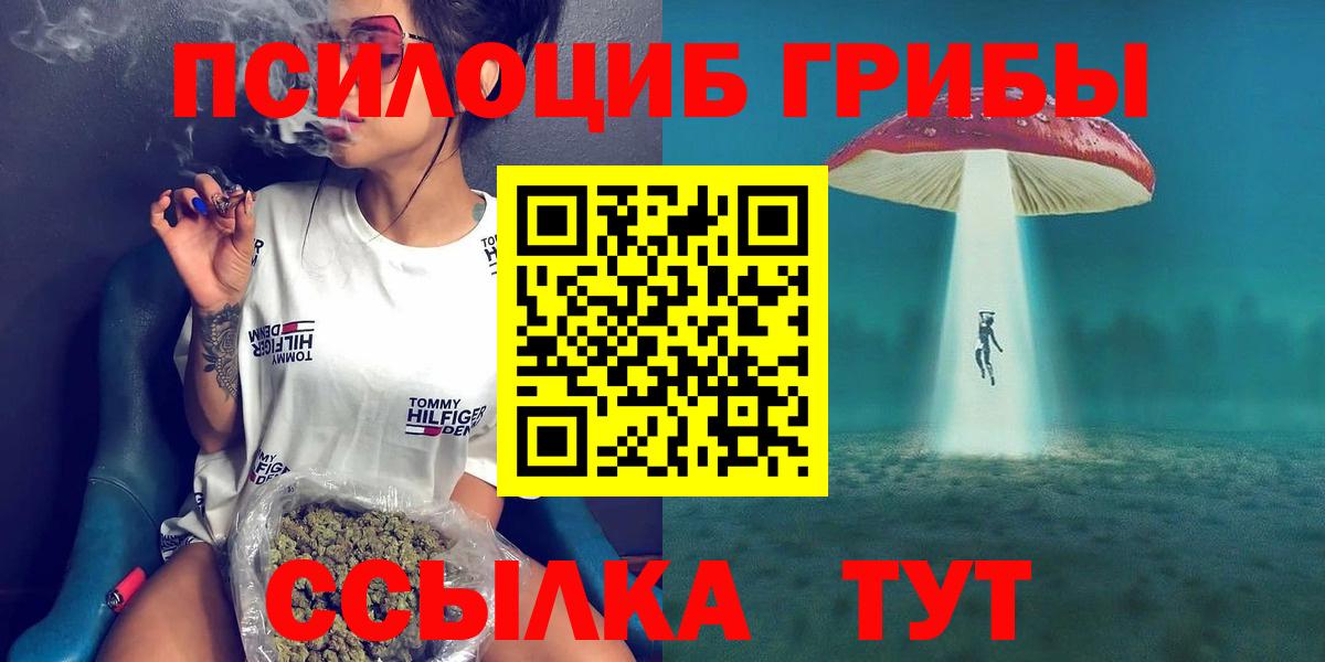 Псилоцибиновые грибы Psilocybine cubensis Баксан
