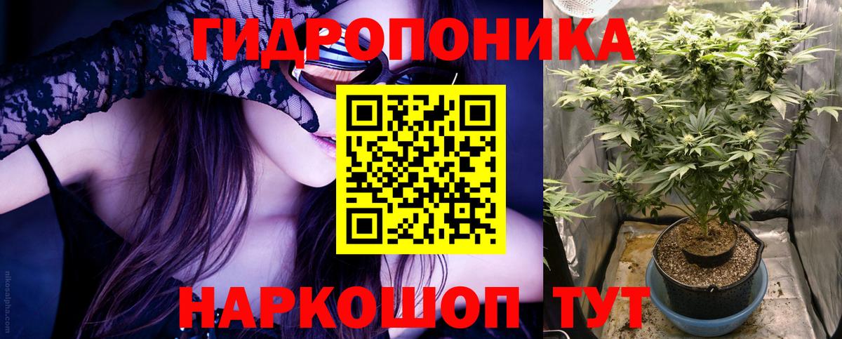 МАРИХУАНА Amnesia  Канабис гибрид  Вход с VPN  Каннабис конопля  Баксан 